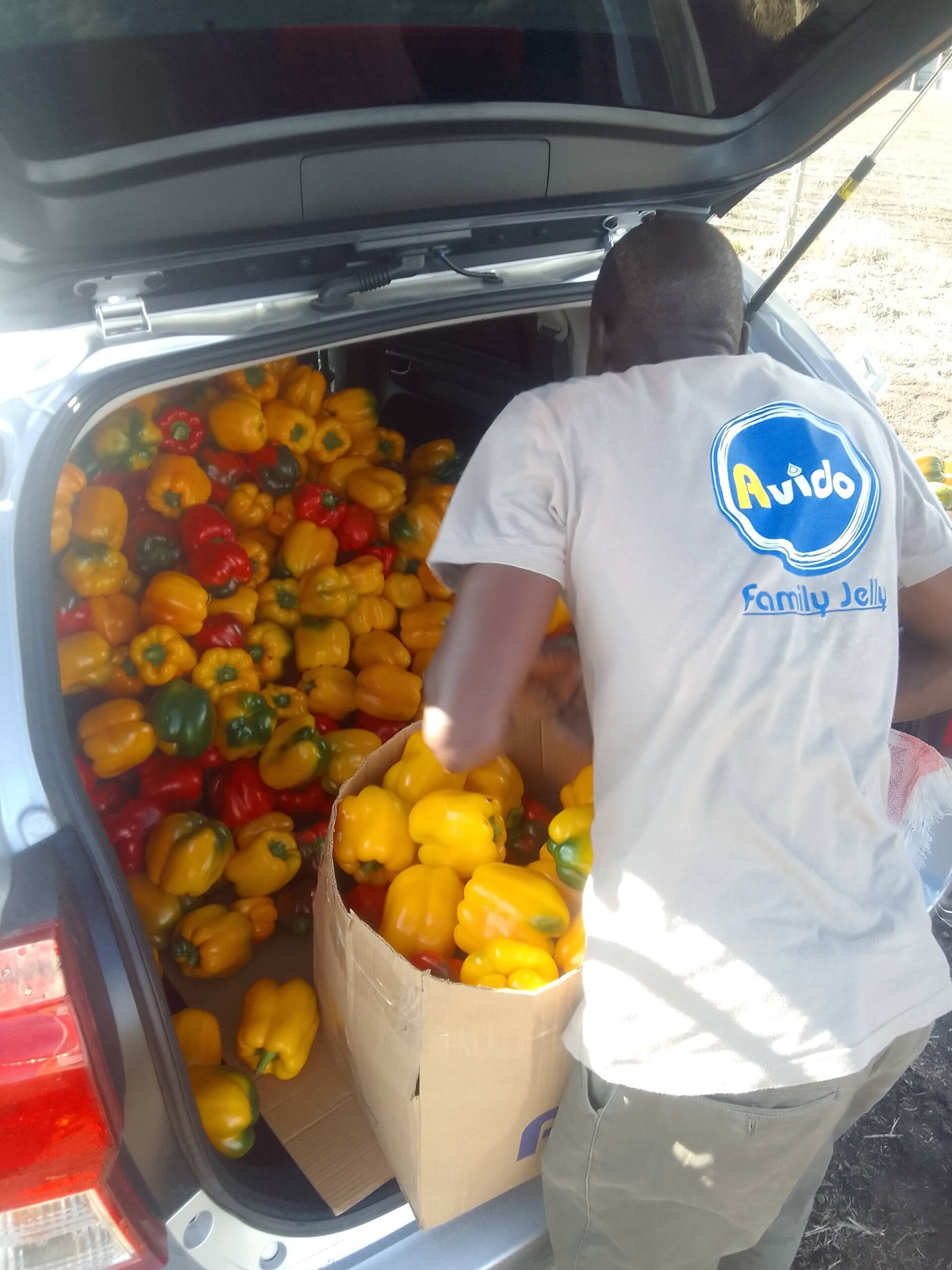 Youth Empowerment in Africa Afri-Core