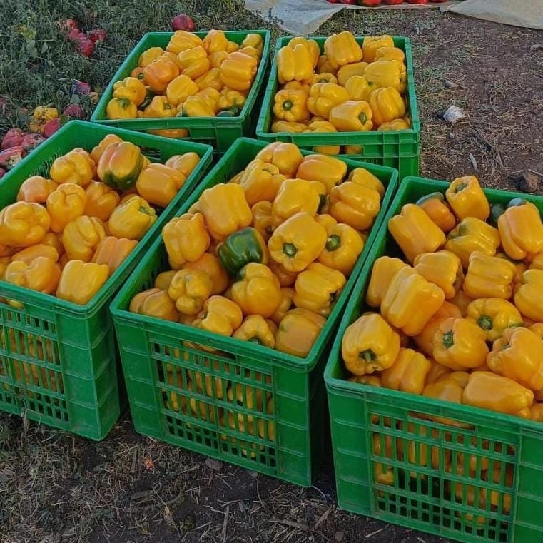 Community Nutrition in Africa | Afri-core
